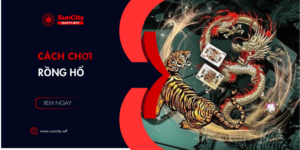 5 cách chơi rồng hổ chuẩn cao thủ, giúp anh em dễ dàng chiến thắng